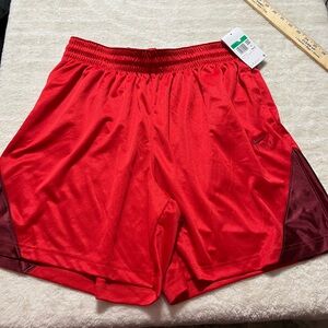 Nike Women XL Red and Maroon Athletic Shorts